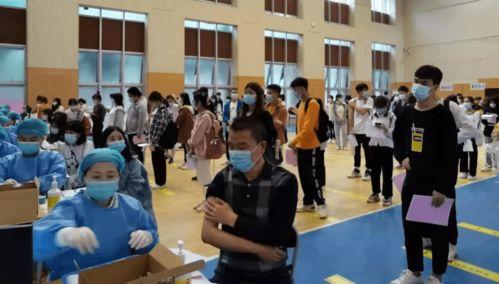 文安大瓜爆料最新消息,揭秘娱乐圈惊天秘密! 第3张 文安大瓜爆料最新消息,揭秘娱乐圈惊天秘密! 第3张